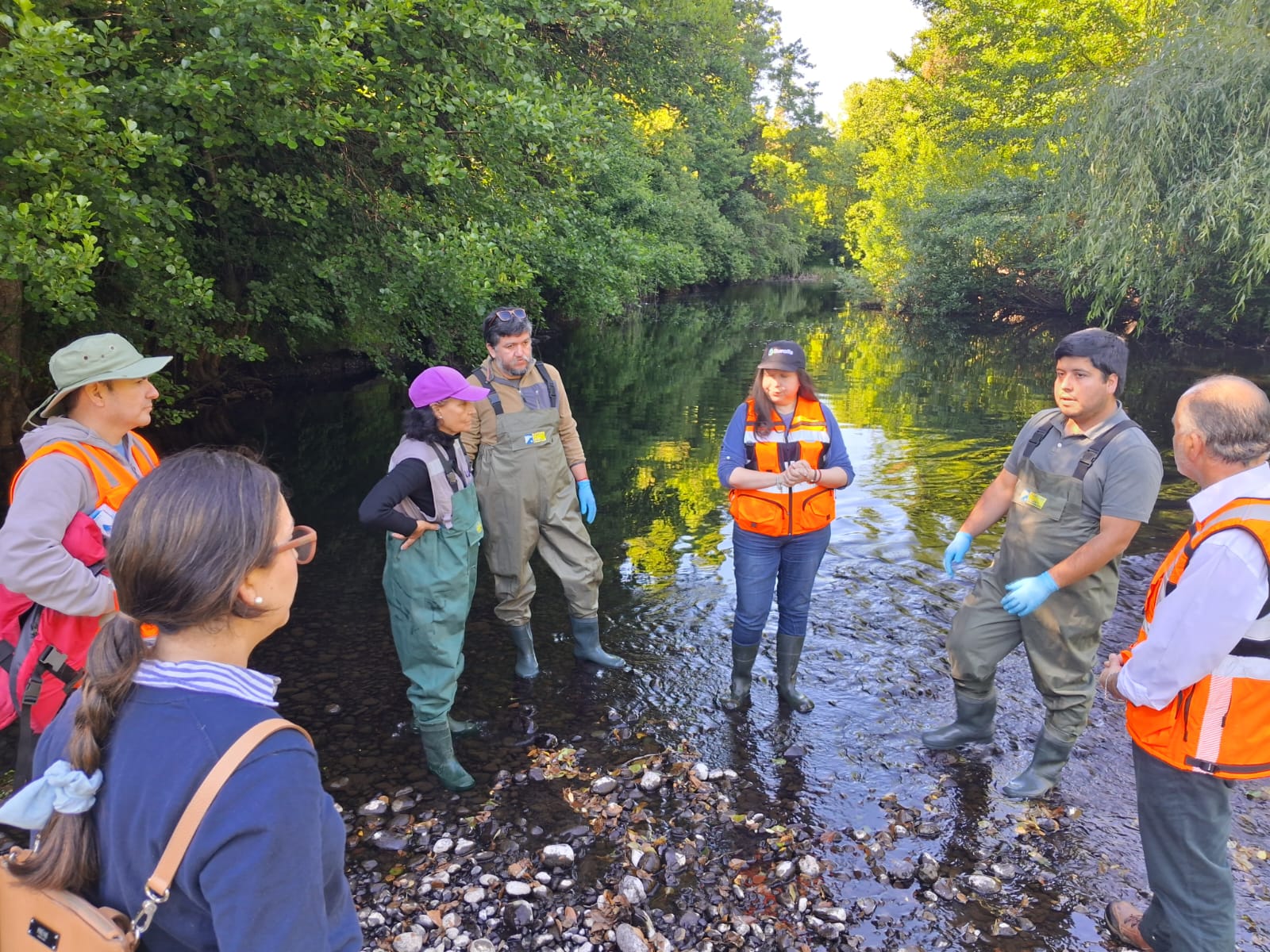 Realizan monitoreo participativo en el Río Damas de Osorno